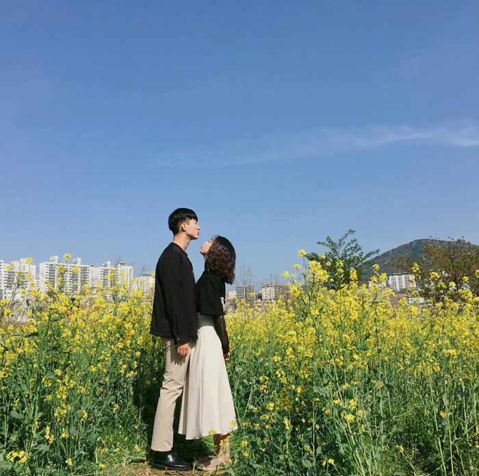 1001 Câu Thả Thính Thả Là Dính Cực Dễ Thương Bắt Trend Triệu Like 1001 Câu Thả Thính Thả Là Dính Cực Dễ Thương Bắt Trend Triệu Like