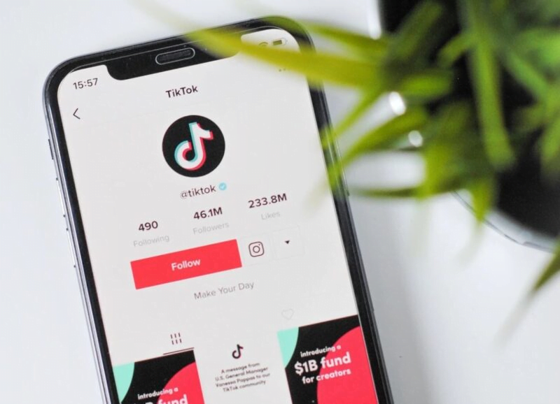 Tiktok Beta là gì? Cách kiếm tiền với Tiktokbeta 2024 hiệu quả 3 Tiktok Beta là gì? Cách kiếm tiền với Tiktokbeta 2024 hiệu quả