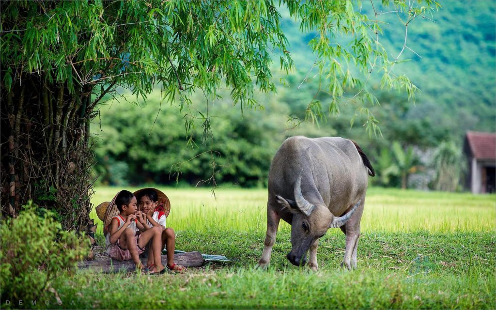 99+ Hình ảnh bầu trời, thiên nhiên, phong cảnh đẹp nhất 2024