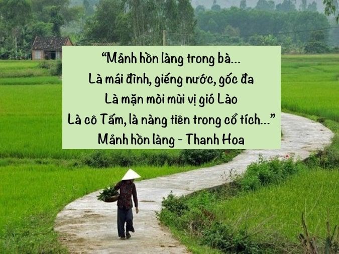 Cách làm thơ 5 chữ và tổng hợp 50 bài thơ hay cho bạn