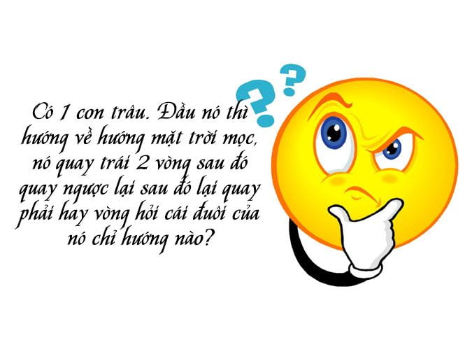 999+ Câu Đố Vui và Hài Hước Hại Não Nhất 2024 có Đáp Án 999+ Câu Đố Vui và Hài Hước Hại Não Nhất 2024 có Đáp Án