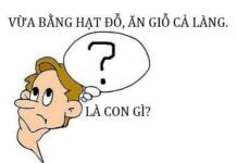 Tổng Hợp1000+ những câu đố vui hài hước có đáp án