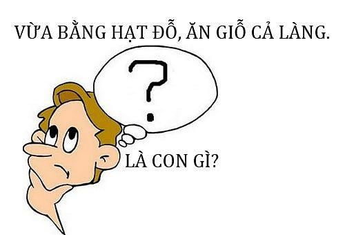 Tổng Hợp1000+ những câu đố vui hài hước có đáp án 5 nhung-cau-do-vui-05.jpg